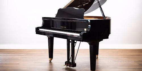 Piano Dedication Recital