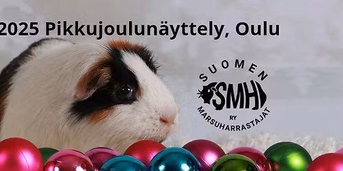 14.12. Oulun pikkujoulun\u00e4yttely 