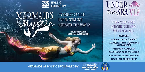 Mermaids at Mystic