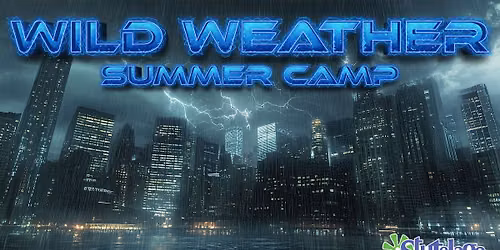 Wild Weather Summer Camp - Orchard Park