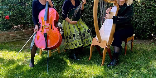 String Culture Trio at The Allies Pub