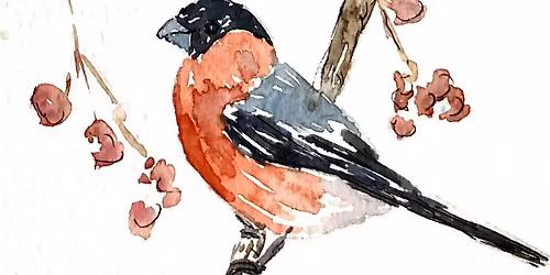 Paint British birds with watercolour