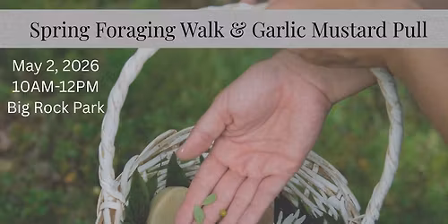 Spring Foraging Walk & Garlic Mustard Pull