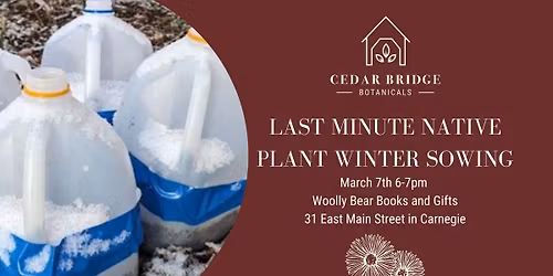 Last Minute Winter Sowing- Native Plants