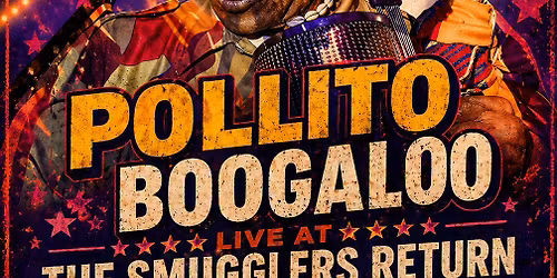 pollito 