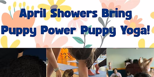 Puppy Power April Showers Puppy Yoga