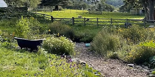 At Birkhill House Makers Group - Dye Garden Block