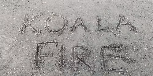 Koala Fire Music Live at Creative Clay Art Market!