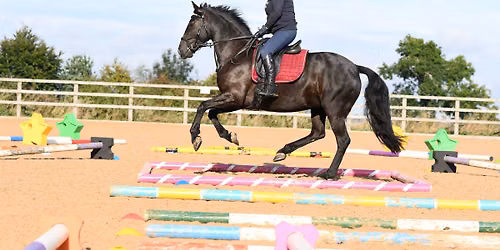 Polework clinic at Catesby Equestrian 