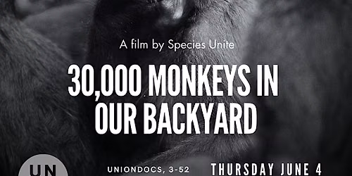 30,000 Monkeys in Our Backyard - Animal Documentary Screening and Q&A