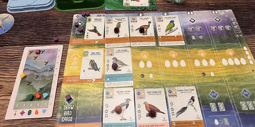 Open Play: Tabletop Game Day