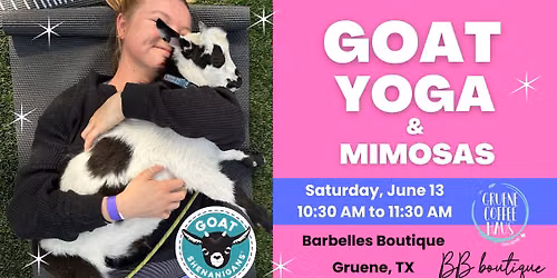 Goat Yoga & Mimosas in Gruene