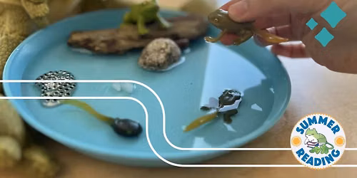 A Frog's Life