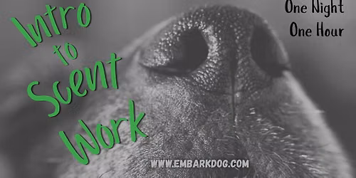 Intro to Scent Work 