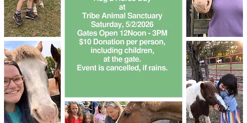 Hug a Horse Day at Tribe Animal Sanctuary 