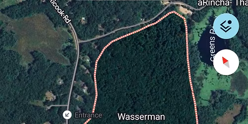 Hike Wasserman!