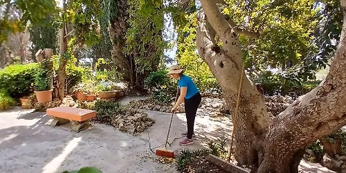 Work Experience in the Gardens of Mount St Joseph