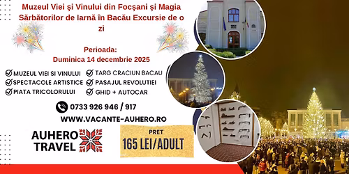 Muzeul Viei \u015fi Vinului din Foc\u015fani \u015fi Magia S\u0103rb\u0103torilor de Iarn\u0103 \u00een Bac\u0103u Excursie de o zi