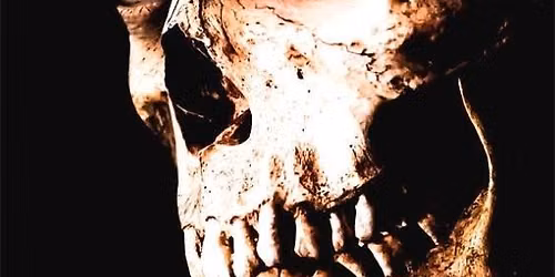 Evil Dead 2: Dead By Dawn