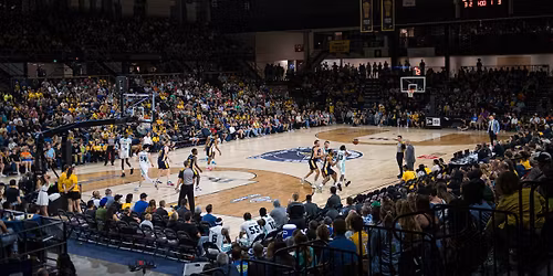 Edmonton Stingers vs. Saskatoon Mamba