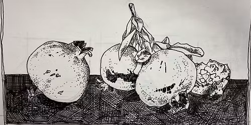 Still Life Drawing Classes