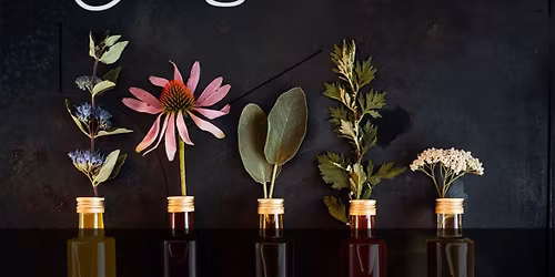 Restorative Yoga with Essential Oils