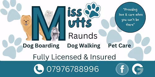 Canine first aid course 