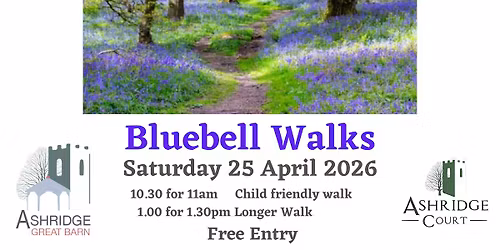 Blue Bell Guided Walks at Ashridge Court
