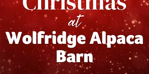 Festive Afternoon Tea Event