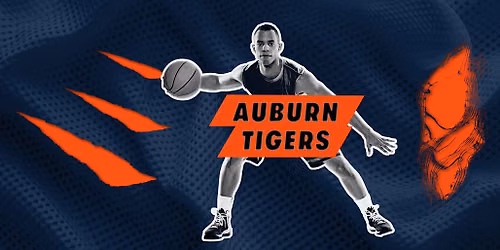 SEC\/ACC Mens Challenge - Auburn Tigers at Clemson Tigers Mens Basketball at Littlejohn Coliseum