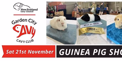 Guinea Pig Show - Christchurch 