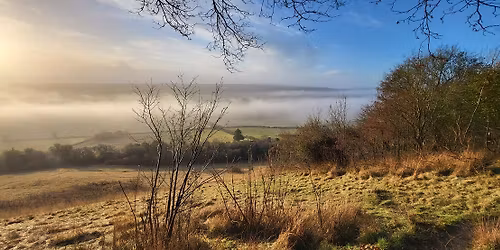 Build a Snowman Winter Trail