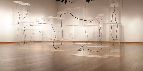 Opening: The body isn\u2019t a battery that discharges upon death