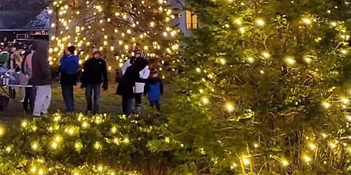 Annual Tree Lighting Celebration