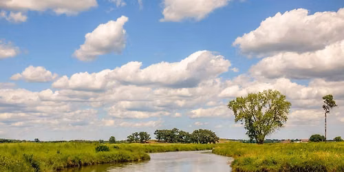 A Species of Land Like No Other ...  The History of Conservation in the Chicago Region