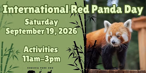 International Red Panda Day