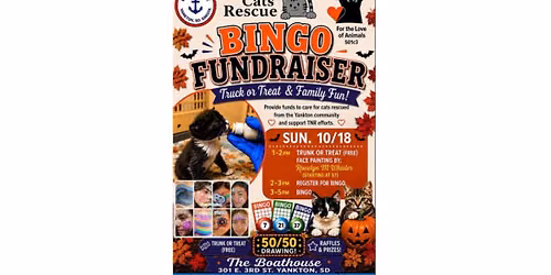 All Cats Rescue Face Painting Fund Raiser and Trunk or Treat