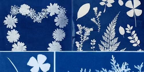 Cyanotype Printing