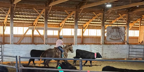 ** INDOOR CATTLE SORT**