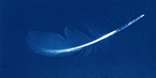 Classic Cyanotype