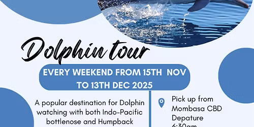 Dolphin Tour in Wasini Island