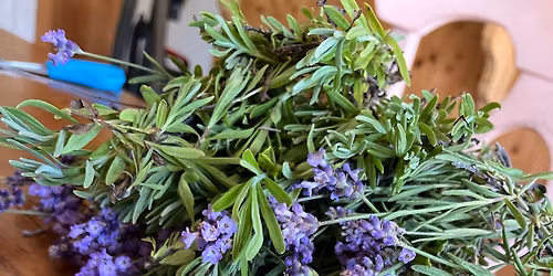 Plant Essence Workshop