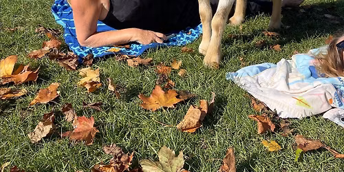 Goat Yoga Cape Cod