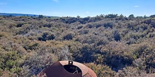 Discovering WWII at Studland Walk - The Anti-invasion Defences 1939-42