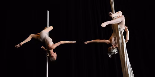 Vole papillon, Vole! | Compagnie Impact