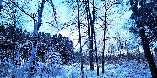 Guided Walks: Winter Walk