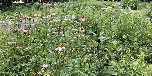Meadow Management Day at Sugar Hill Farm