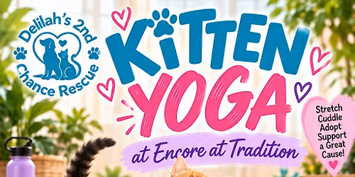 Kitten Yoga