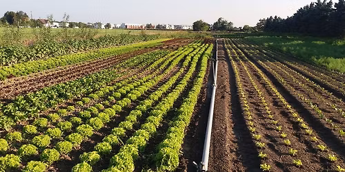 BIO AUSTRIA Gem\u00fcse- und Kartoffeltage