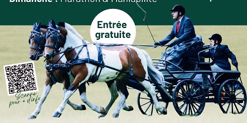 Concours d'attelage national
